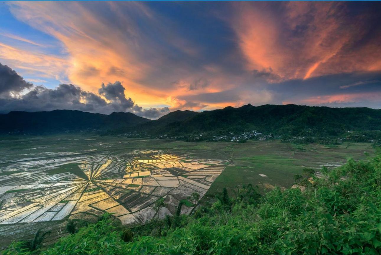 D'Flora Homestay ลาบวนบาโจ ภายนอก รูปภาพ